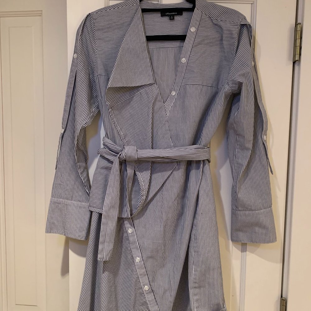 Life with bird pinstriped shirt dress